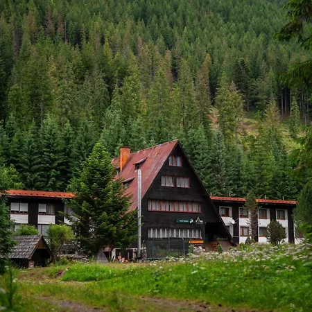 Horska Primula - 1000 M Nad Morom