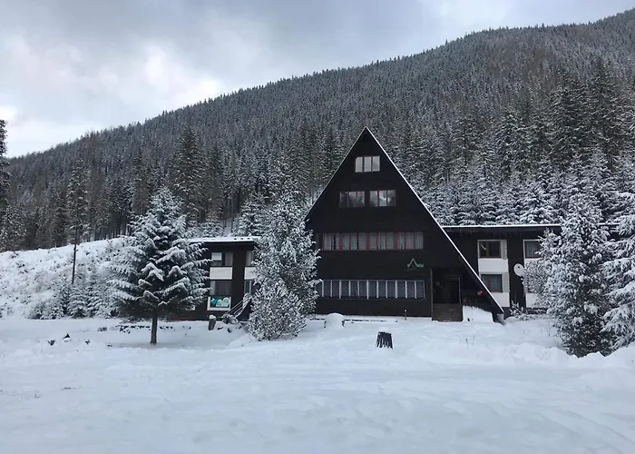 Hotel Horska Primula - 1000 M Nad Morom Zuberec